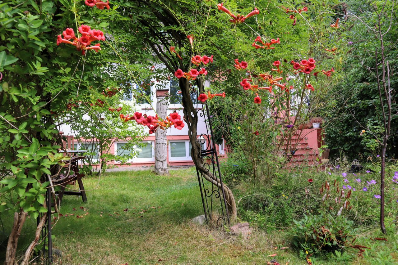 der verwunschene Garten - ein kleines Paradies