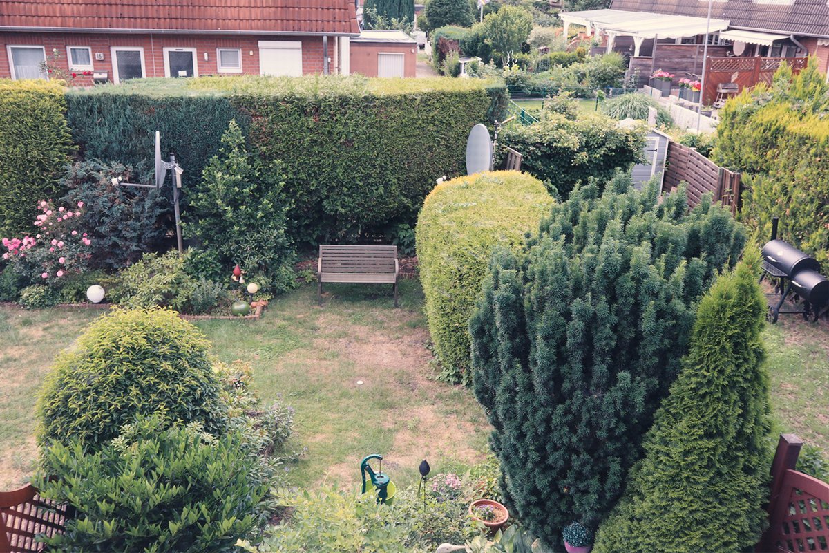 Blick in den Garten